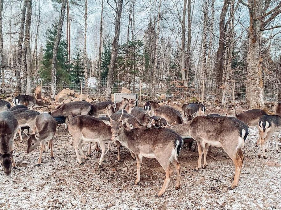 Вілла Damwildfarm In Rollerbue Suedschweden Tyringe Екстер'єр фото
