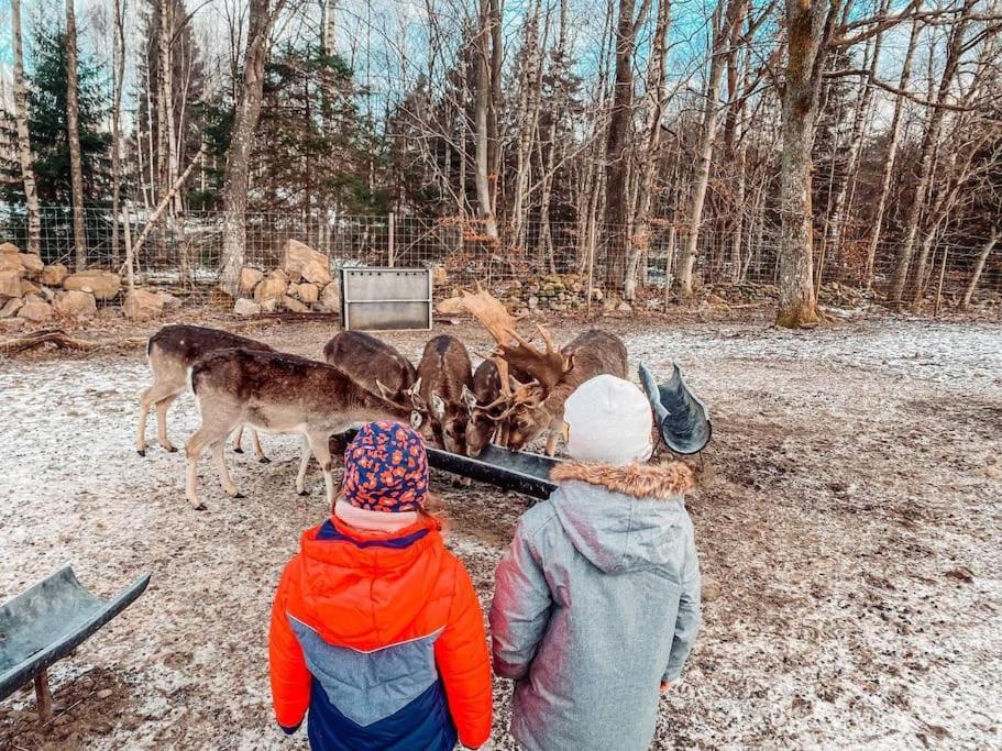 Вілла Damwildfarm In Rollerbue Suedschweden Tyringe Екстер'єр фото