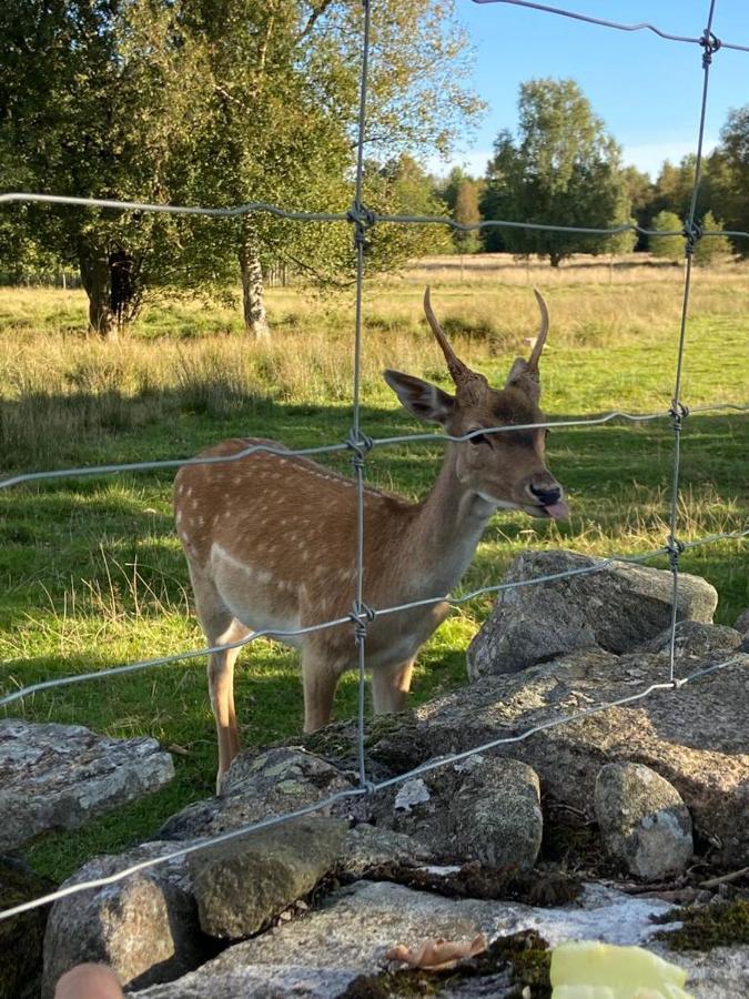 Вілла Damwildfarm In Rollerbue Suedschweden Tyringe Екстер'єр фото
