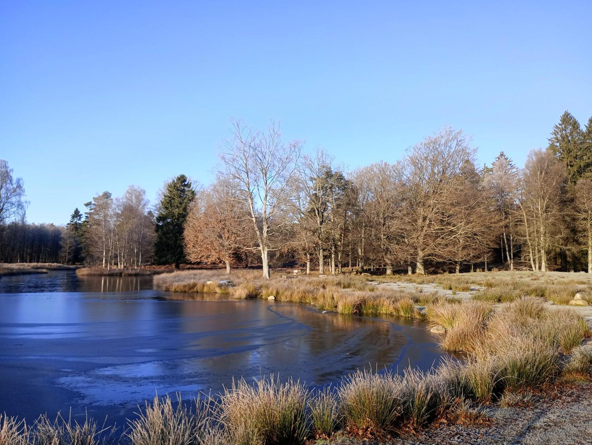 Вілла Damwildfarm In Rollerbue Suedschweden Tyringe Екстер'єр фото